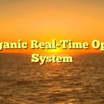 Organic Real-Time Open System