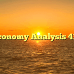 Economy Analysis 410